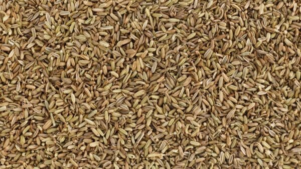 Les graines de fenouil 100% pures ont un effet anti-spasmodique