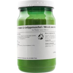 Grünlippmuschel-Pulver – 100 % reines Konzentrat für starke Gelenke. Glucosamin